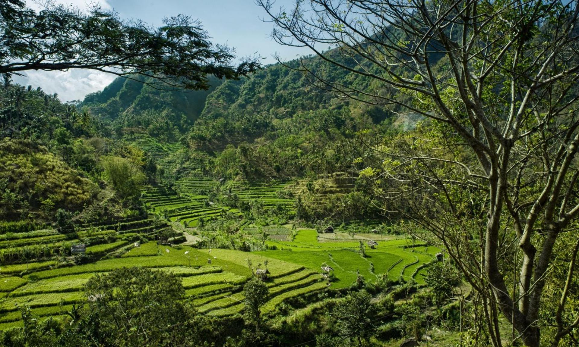 Retreat Villa Toraja Baturinggit 库布 外观 照片